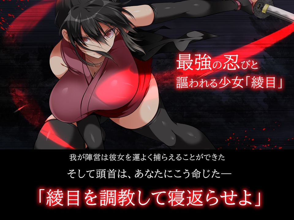 忍堕とし サンプル画像2