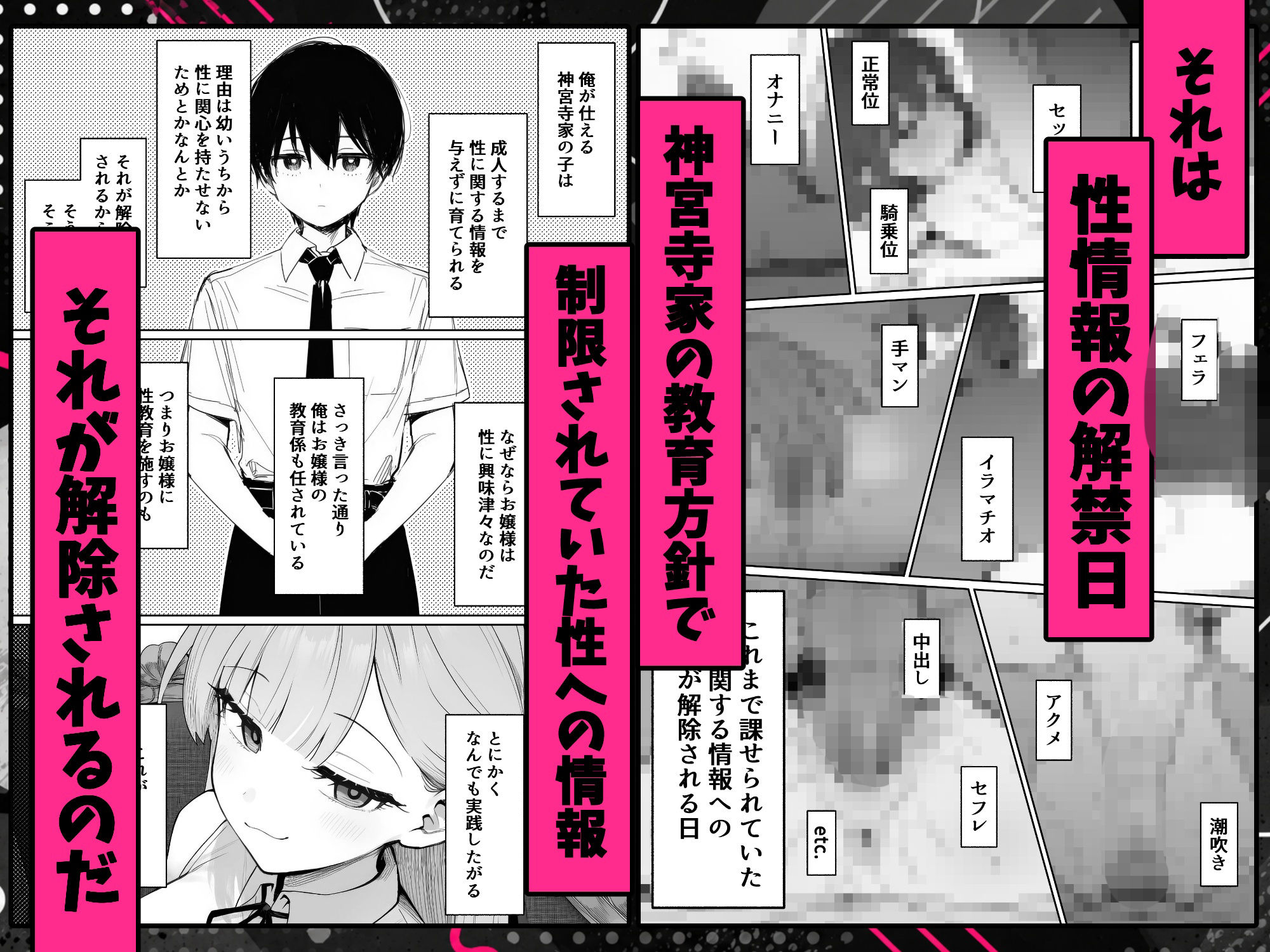 お嬢様はセックスをご所望です サンプル画像3